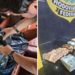 PRF apreende 240 tabletes de cocaína em São Luís (MA)