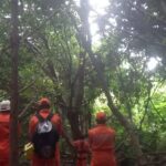 Maranhense desaparecido é encontrado em uma árvore em Salvador