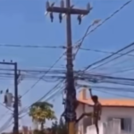 Vídeo flagra homem furtando fios em poste no Renascença e viraliza nas redes sociais