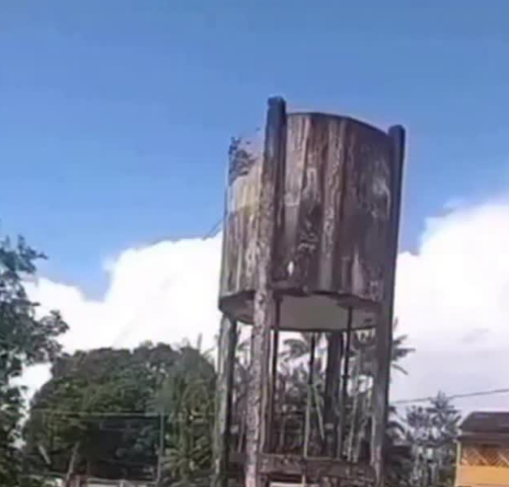 Urubu pousa em caixa d’água e estrutura desaba em Bacuri-MA; vídeo viraliza nas redes