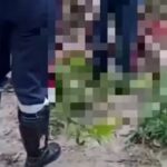 Mulher trans é encontrada morta em área de mato em São José de Ribamar