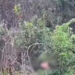 Corpo é encontrado às margens da BR-316 em Timon