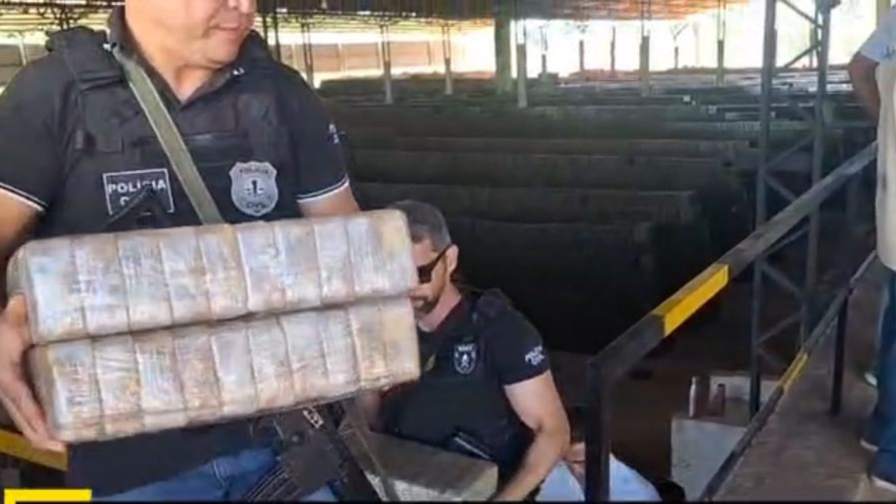 Droga avaliada em R$ 30 milhões é incinerada após apreensão em Balsas