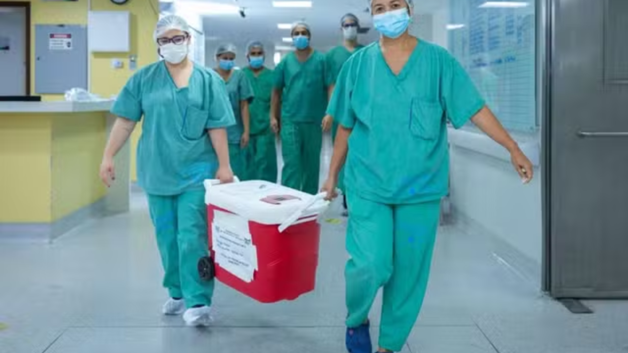 Maranhão é o primeiro do Nordeste a realizar transplante hepático intervivos entre adultos
