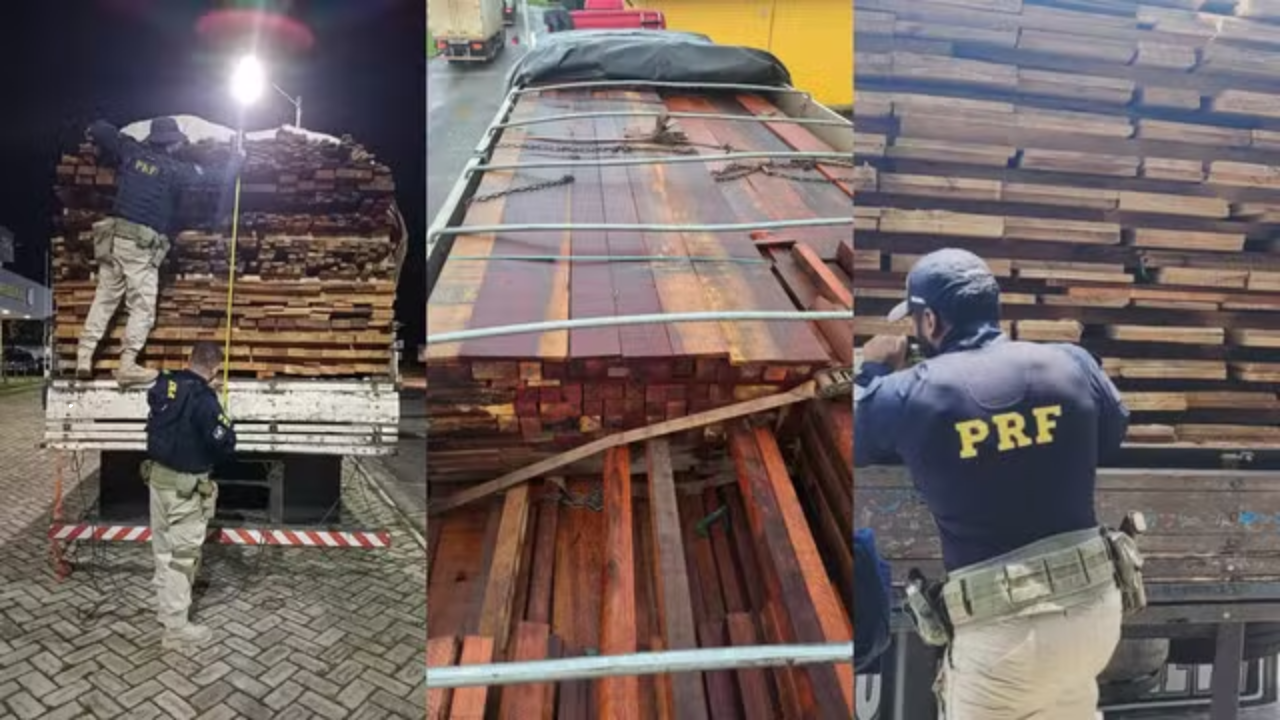 PRF resgata 27 animais silvestres e prende 14 pessoas por crimes ambientais no Maranhão