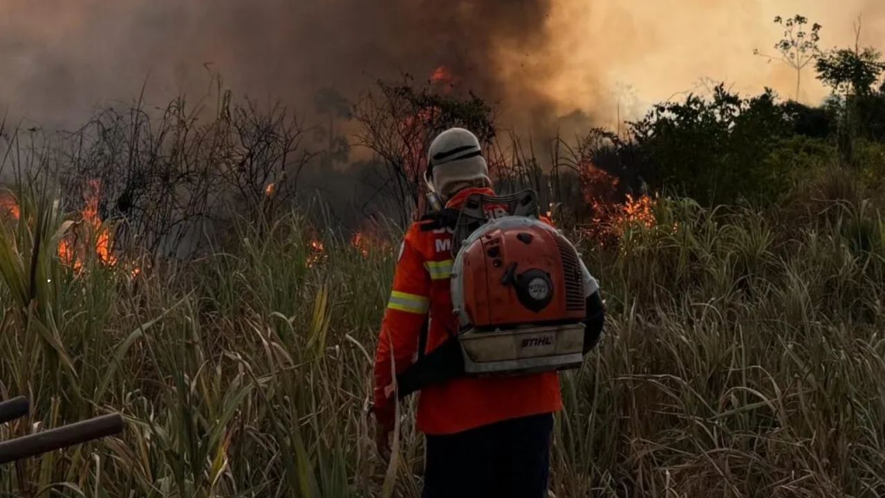 CBMMA inicia Operação Maranhão Sem Queimadas com reforço tecnológico e mais de mil bombeiros