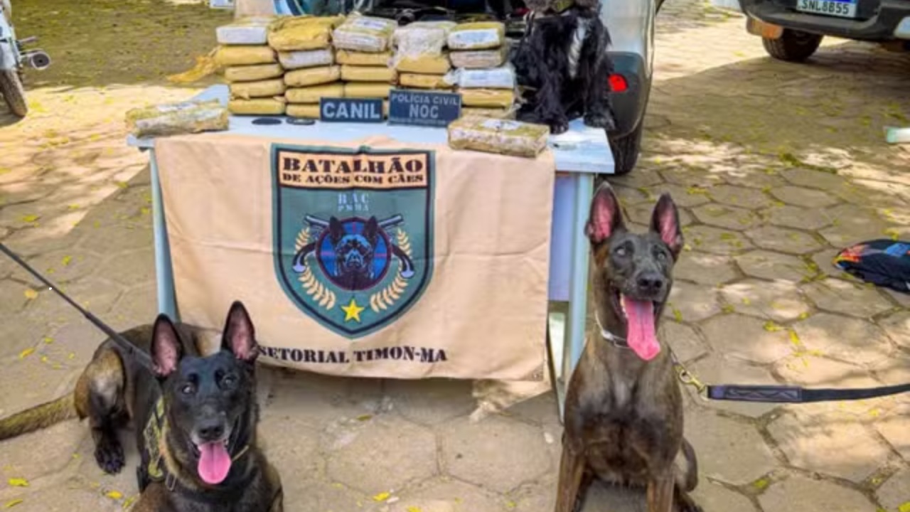 Polícia encontra mais 30 kg de maconha escondidos em carro apreendido há seis meses no Maranhão