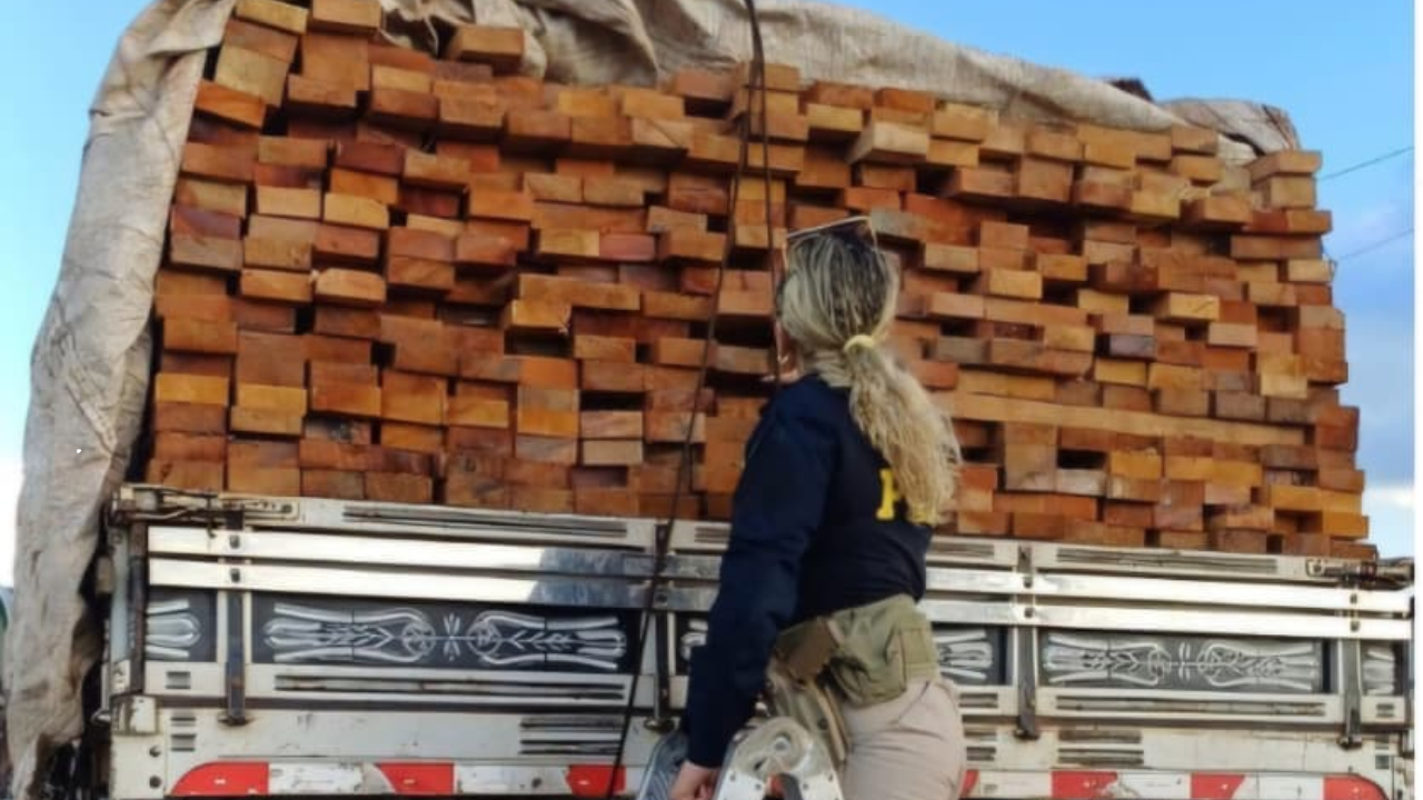 PRF flagra transporte irregular de madeira nativa e apreende caminhão na BR-316, no Maranhão