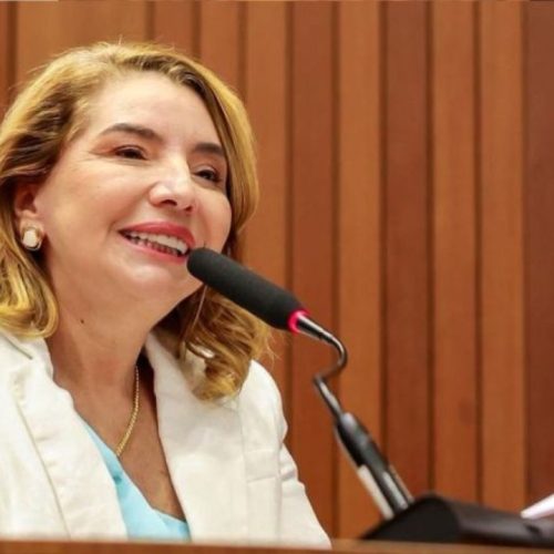 “Quando a democracia vence por 10 a 0, quem ganha é o Maranhão”, diz Iracema Vale