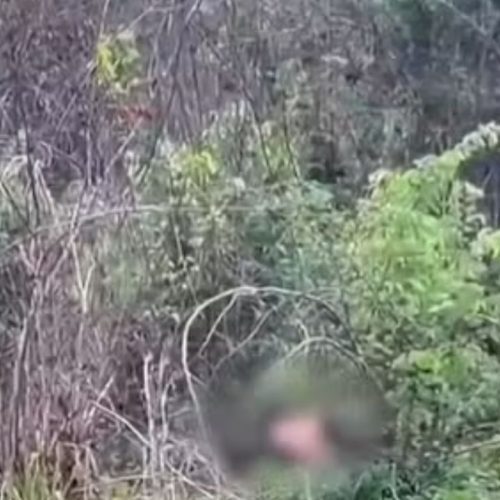 Corpo é encontrado às margens da BR-316 em Timon