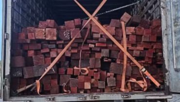 PRF apreende quase 27 m³ de madeira irregular na BR-230, em Balsas (MA)