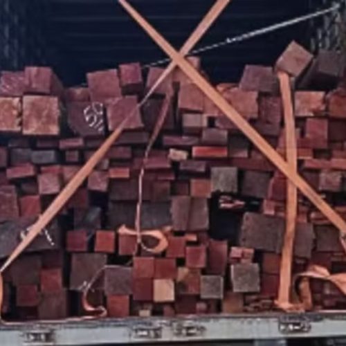 PRF apreende quase 27 m³ de madeira irregular na BR-230, em Balsas (MA)