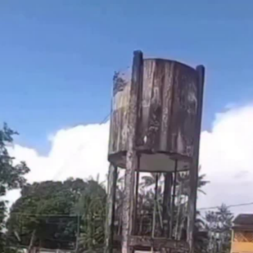 Urubu pousa em caixa d’água e estrutura desaba em Bacuri-MA; vídeo viraliza nas redes