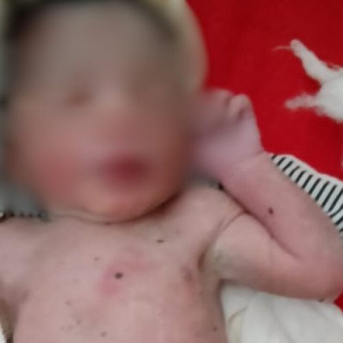 Mulher é presa após abandonar filho em área de mata em São Bento