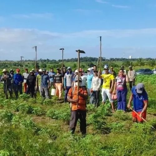 Conflitos no Campo: O crescimento alarmante no Maranhão em 2024