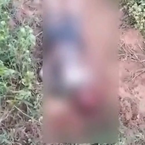 Irmãos são encontrados mortos, com sinais de tortura, no município de Arame